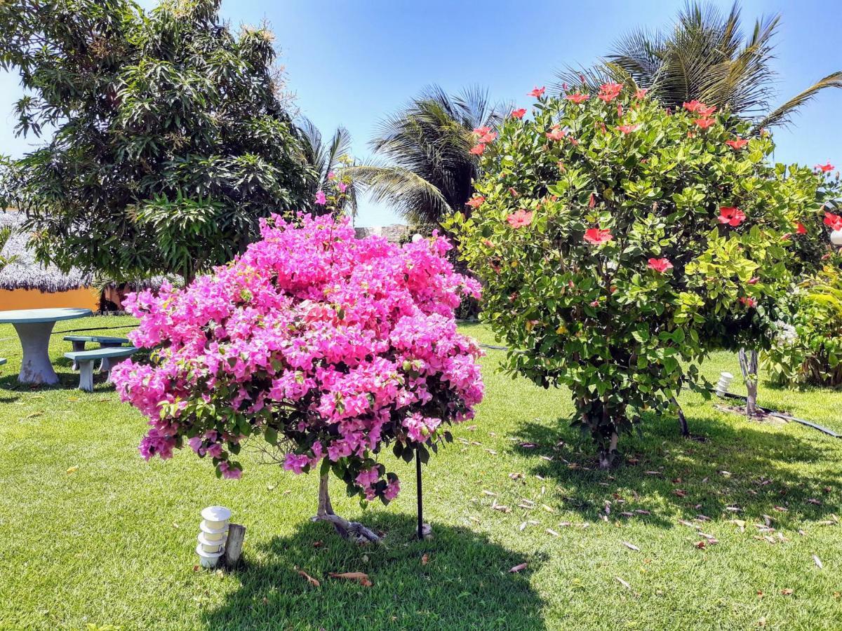 Jardim Dos Orixas